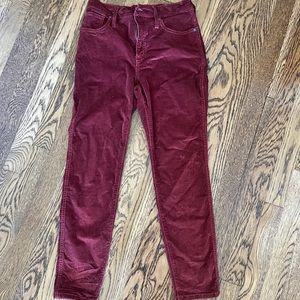 Madewell corduroy pants